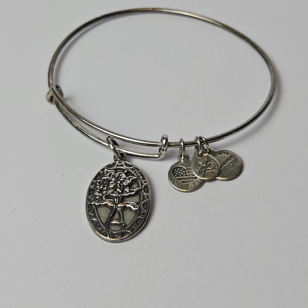 Alex and Ani 2016 Loyal Inspiring Supportive Friend Silver Tone Bangle Bracelet